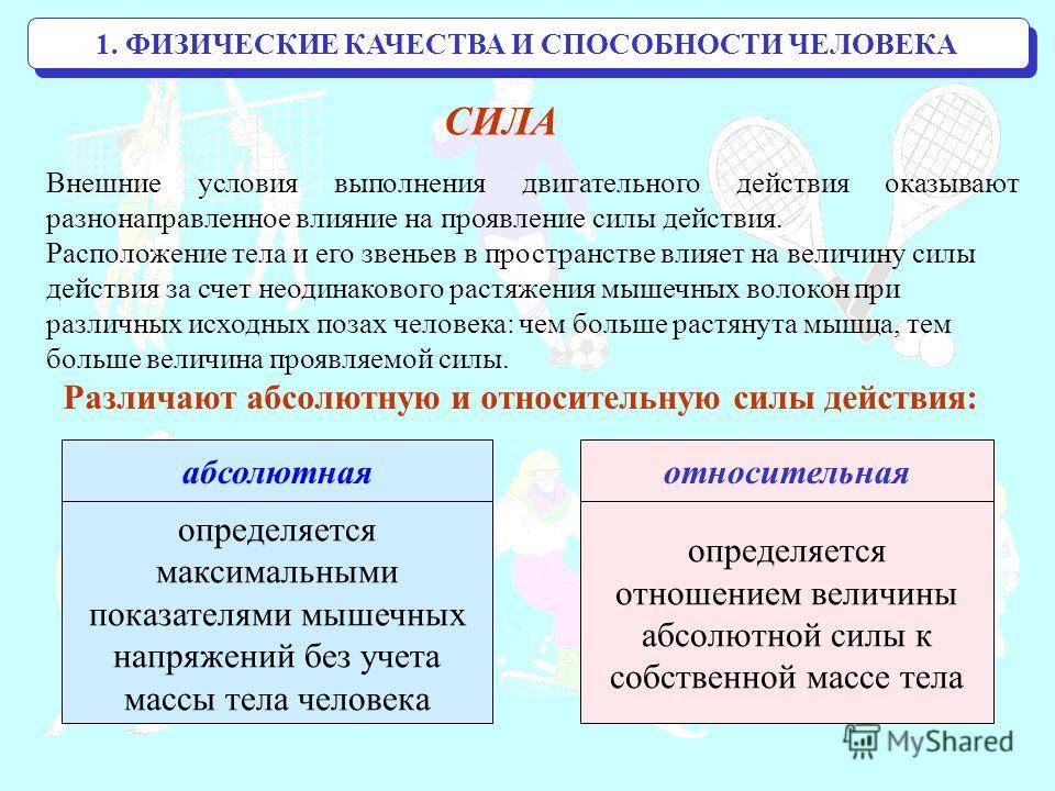 Что относится к физическим силам. Физическое качество сила. Физические способности человека. Физические качества человека. Сила физическая способность.