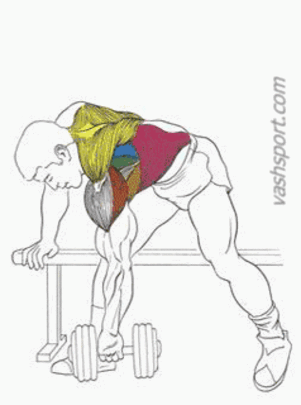 Упражнения для спины и для широчайших мышц спины и трапеции