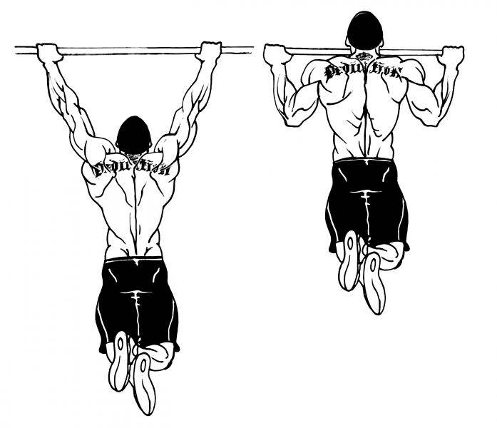 Как мужчине накачать мышцы-крылья (широчайшие): упражнения для дома и спортзала