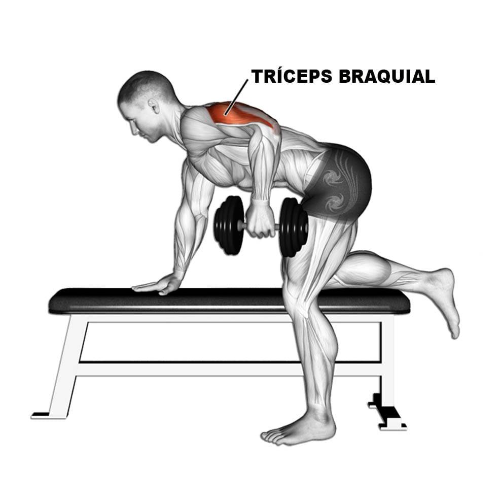 Как прокачать спину и трицепс: 20 упражнений для качественной тренировки