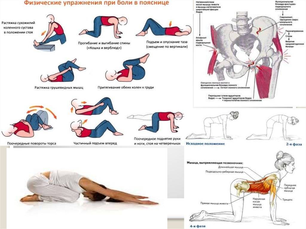 Упражнения от боли в спине - гимнастика для позвоночника