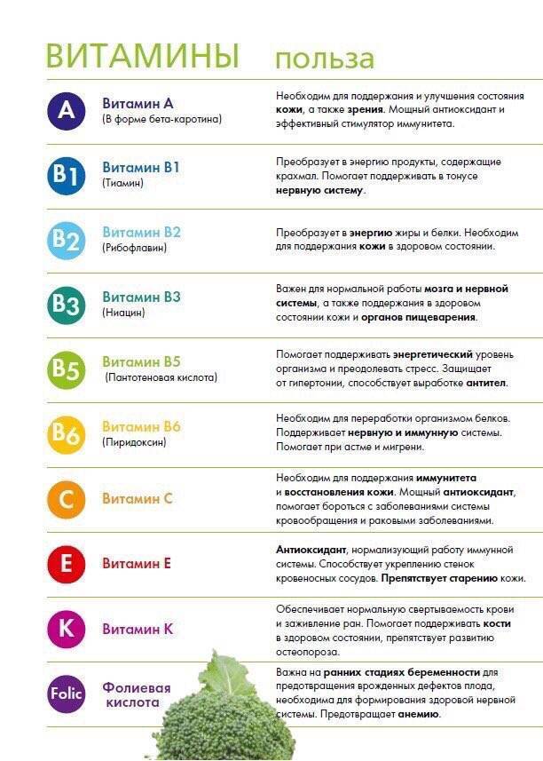 Витамин а: роль в организме, норма, советы по применению :: здоровье :: рбк стиль