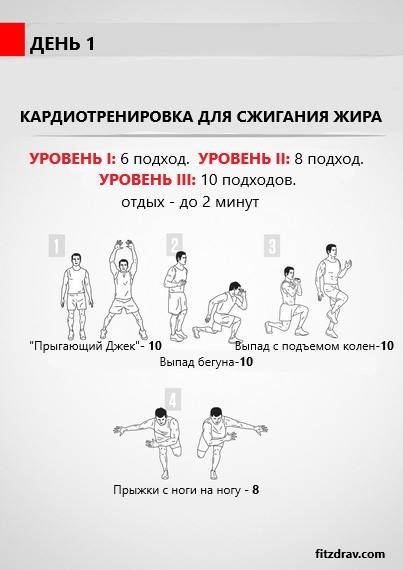 Кардио-тренировки для сжигания жира: упражнения + правила