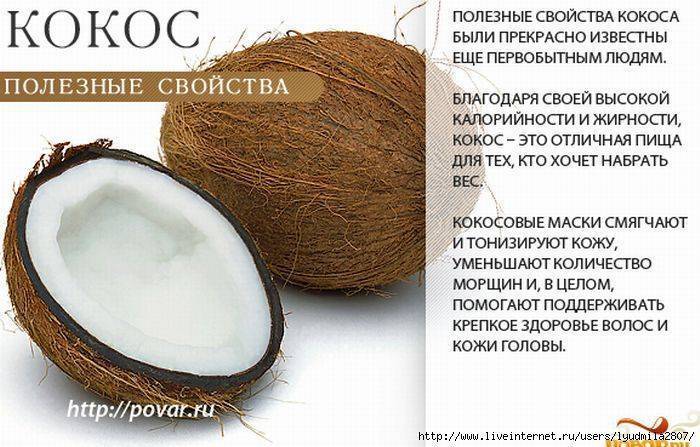 Кокос, его польза и вред