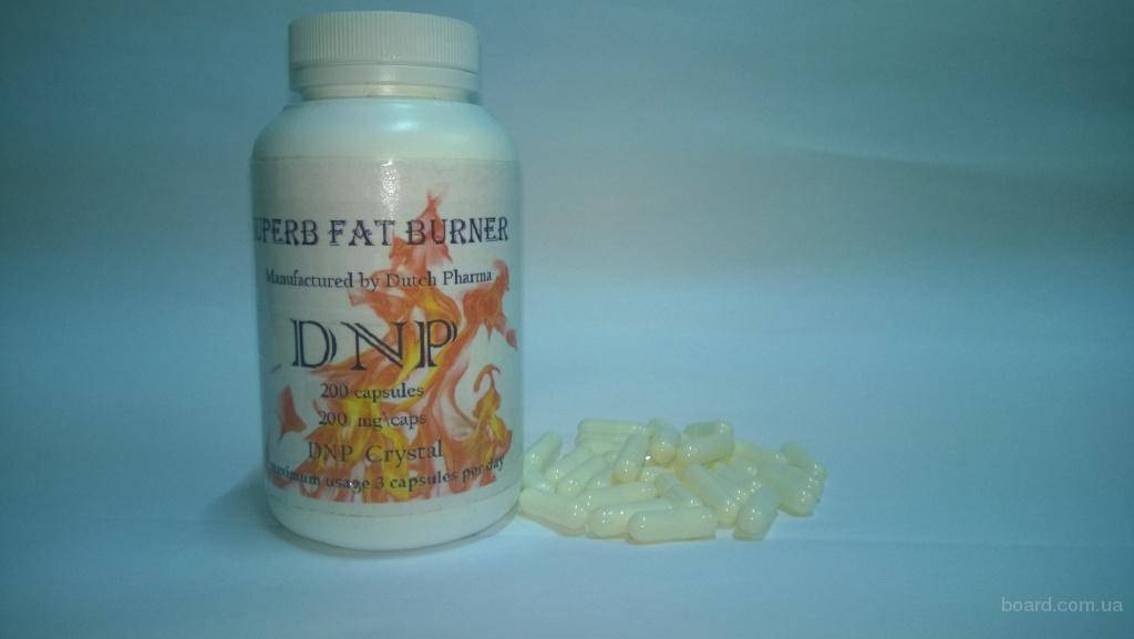 Опасен ли мощный жиросжигатель dnp динитрофенол