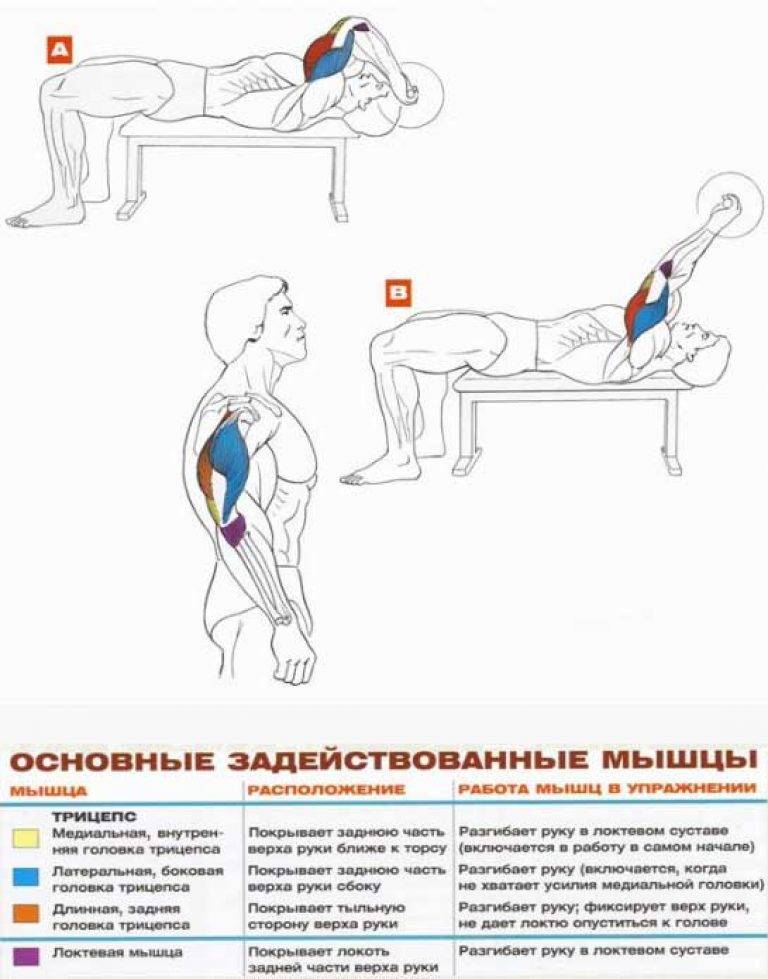 Французский жим вес. Французский жим лежа со штангой техника. Французский жим лежа. Гриф для французского жима. Правильный французский жим.