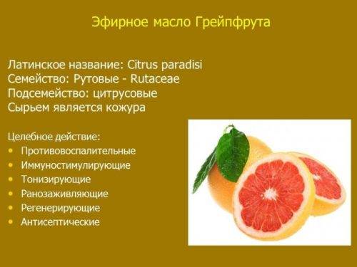 Занимательно о грейпфруте: история, польза, удивительные факты