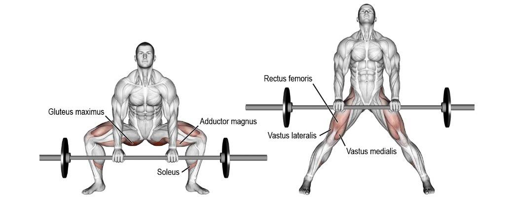 Становая тяга в стиле сумо: техника выполнения, какие мышцы работают