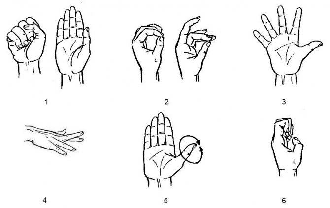 Упражнения для тренировки пальцев рук 
