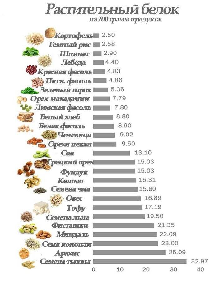 Где содержится белок — кроме мяса? список продуктов с % усвоения белка