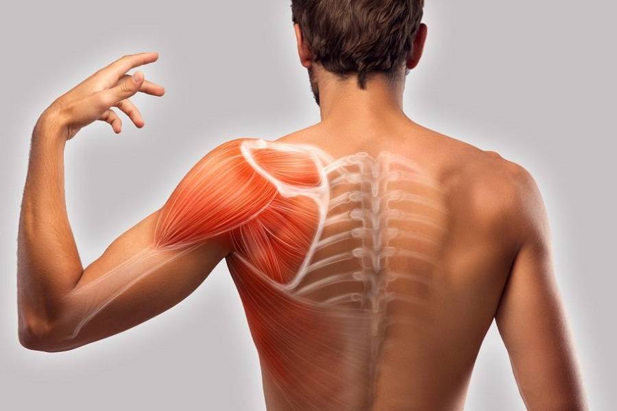 Боли в мышцах - лечение, симптомы, причины, диагностика | центр дикуля