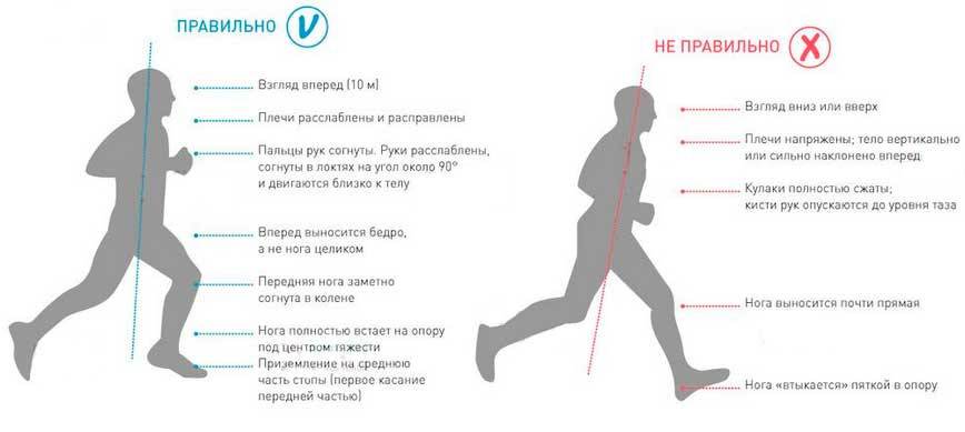 Бег для начинающих, бег по утрам для начинающих, занятия бегом для начинающих, бег для начинающих таблица | wolf workout