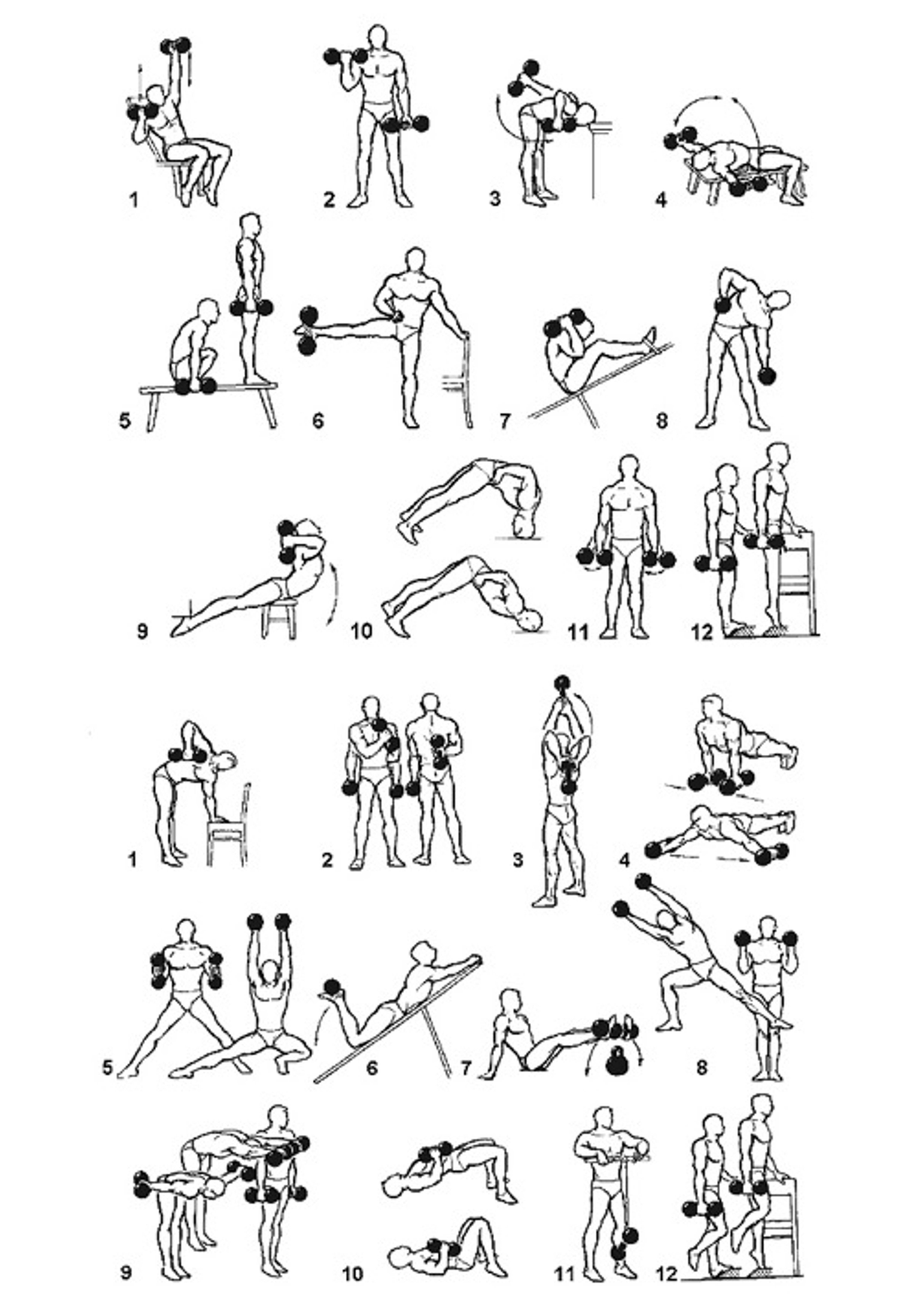 Упражнения с гантелями для мужчин. комплекс упражнений с гантелями дома
