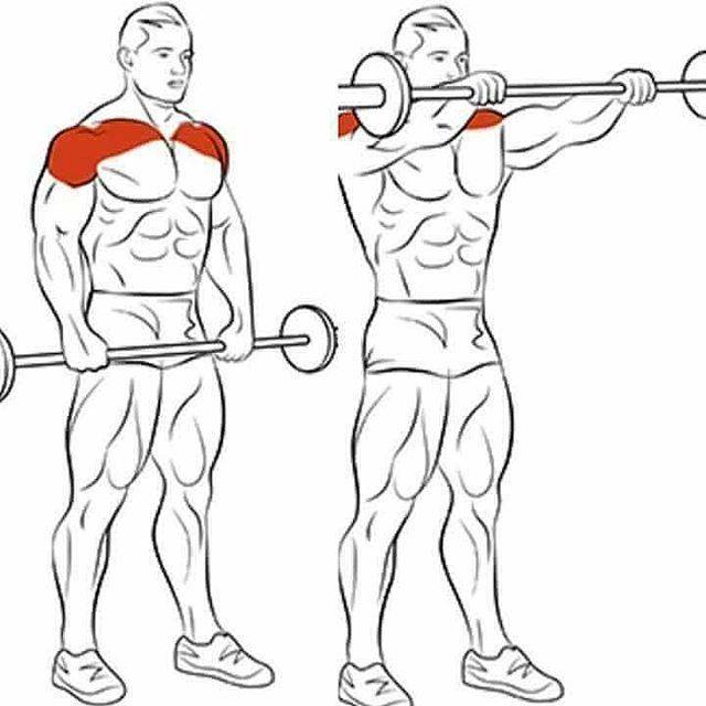 Подъем гантелей перед собой стоя: техника и задействованные мышцы