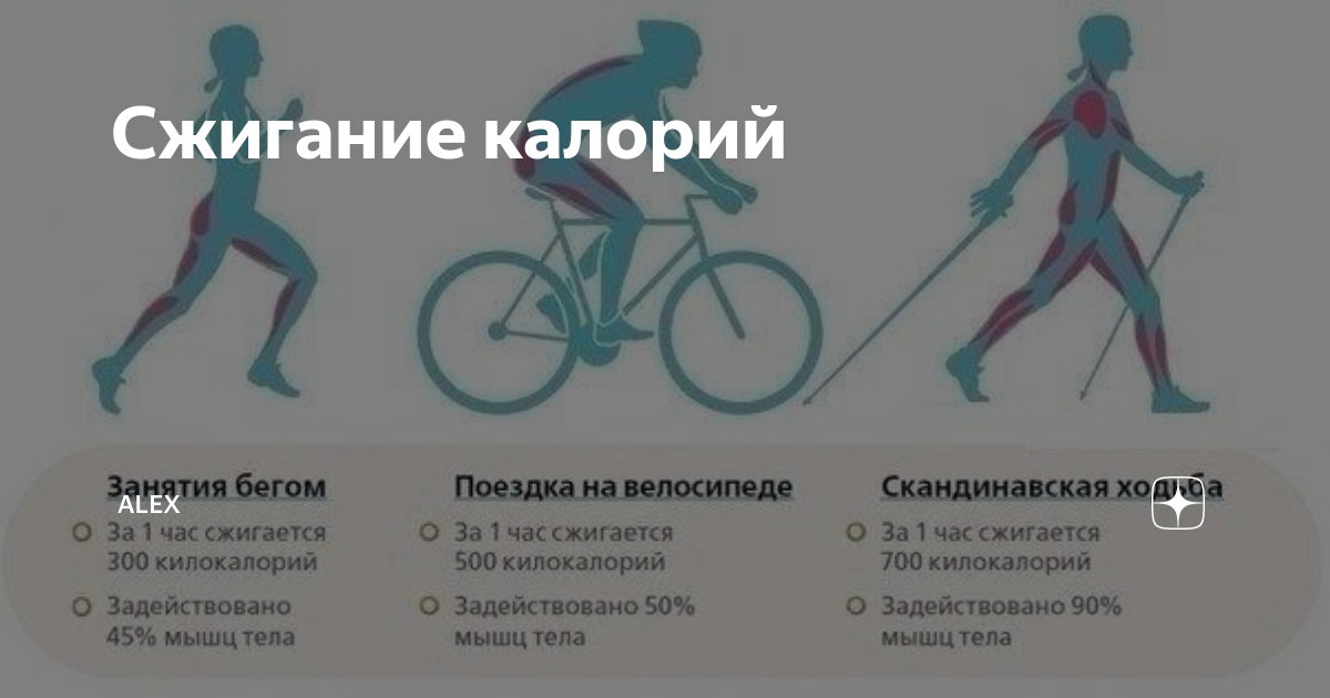 Полезен ли бег на месте для похудения? – azbukadiet.ru