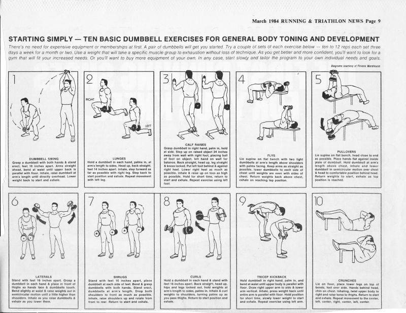 Упражнения с гантелями в домашних условиях и в тренажерном зале | как правильно тренироваться с гантелями? – дон-спорт