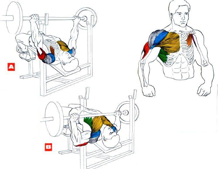 Как накачать внутреннюю часть грудных мышц: топ-7 упражнений и подробное видео | бомба тело