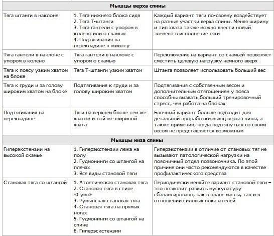 Базовые и изолирующие упражнения в бодибилдинге, список упражнений