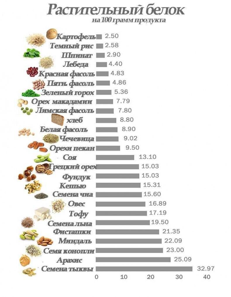 Продукты, содержащие белок в большом количестве – список продуктов и таблица