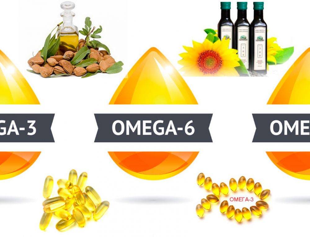 Омега-3: свойства и польза для организма | food and health