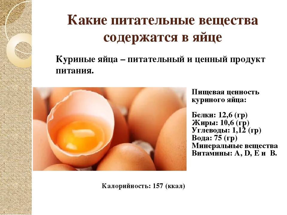 Польза и возможный вред куриных яиц для человека