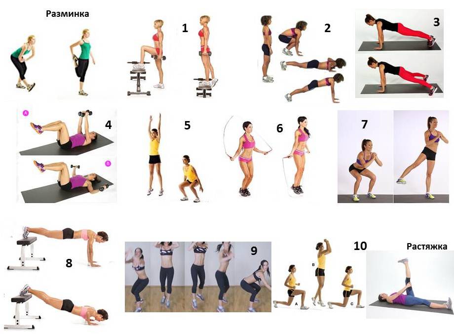 Базовые упражнения для девушек: топ самых лучших программ для тренировок в домашних условиях и тренажерном зале!