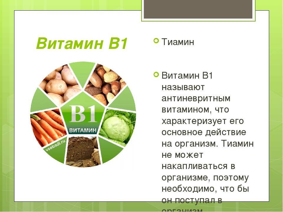 Витамин b1 (тиамин) | медицинский портал eurolab