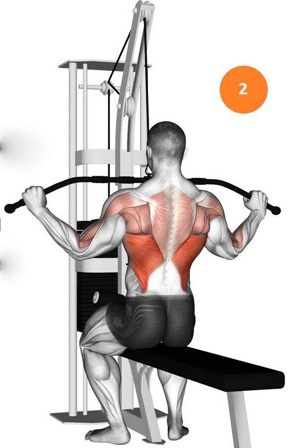 Тяга вертикального блока – крутое упражнение для развития v-образной спины!