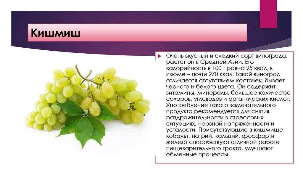 Виноград. польза и вред