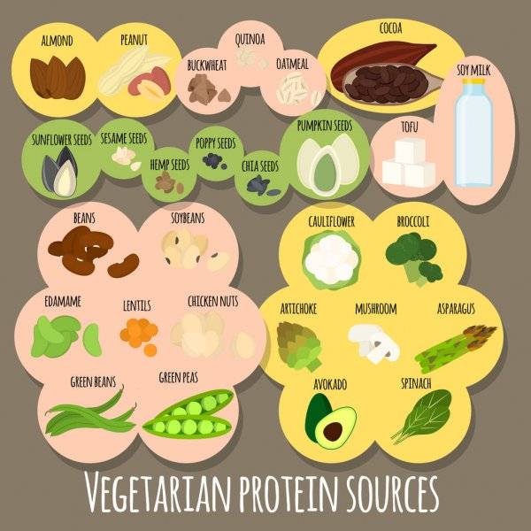 Протеин для веганов и вегетарианцев: какой лучше употреблять