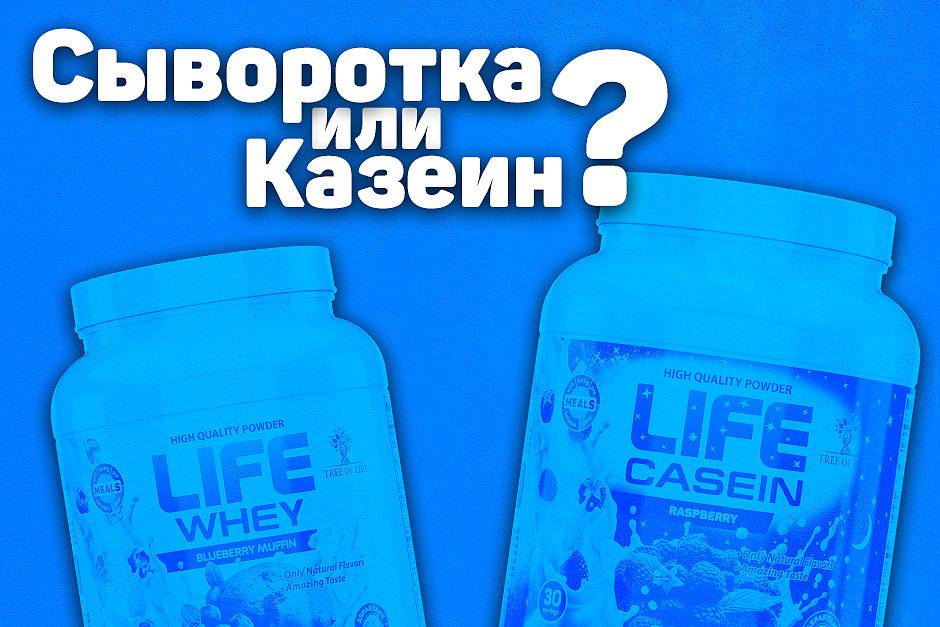 Казеиновый протеин (kazein)- что это такое, как принимать, какой лучше? узнай на kulturist1.ru
