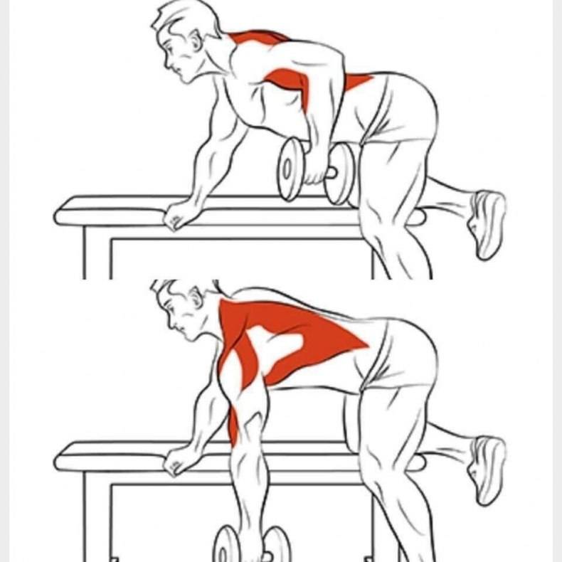 Комплекс упражнений, чтобы укрепить мышцы спины в домашних условиях | rulebody.ru — правила тела