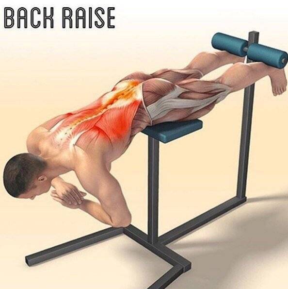 Тренировка спины: как накачать широкую спину в тренажерном зале