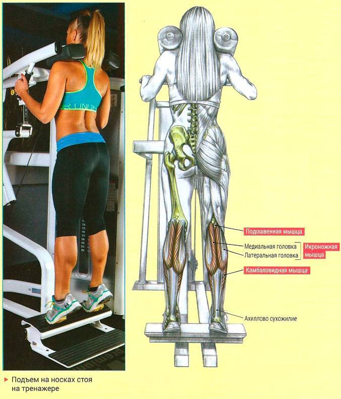 Комплекс упражнений для икроножных мышц