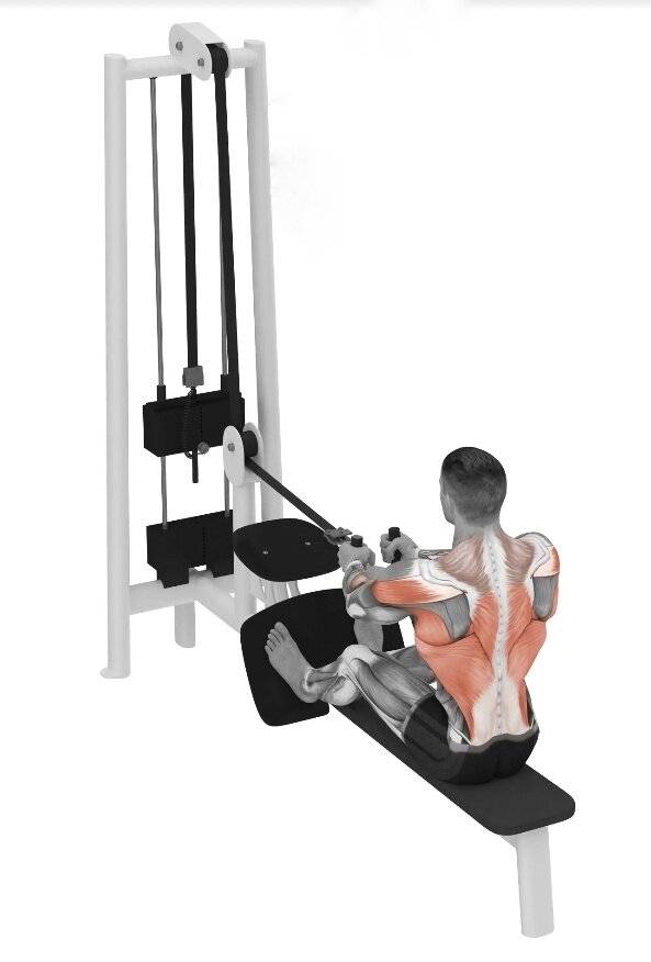 Рычажная тяга – эффективное упражнение в тренажере хаммер для мышц спины