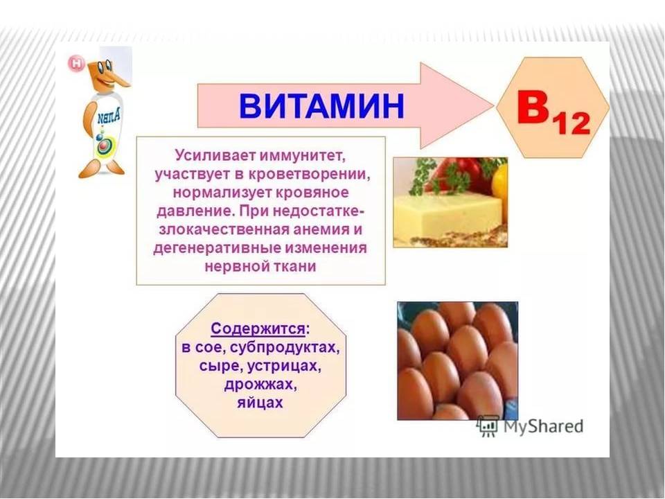 Витамины человека: значение для организма, группы