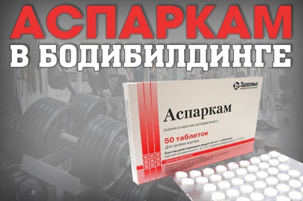Аспаркам в бодибилдинге