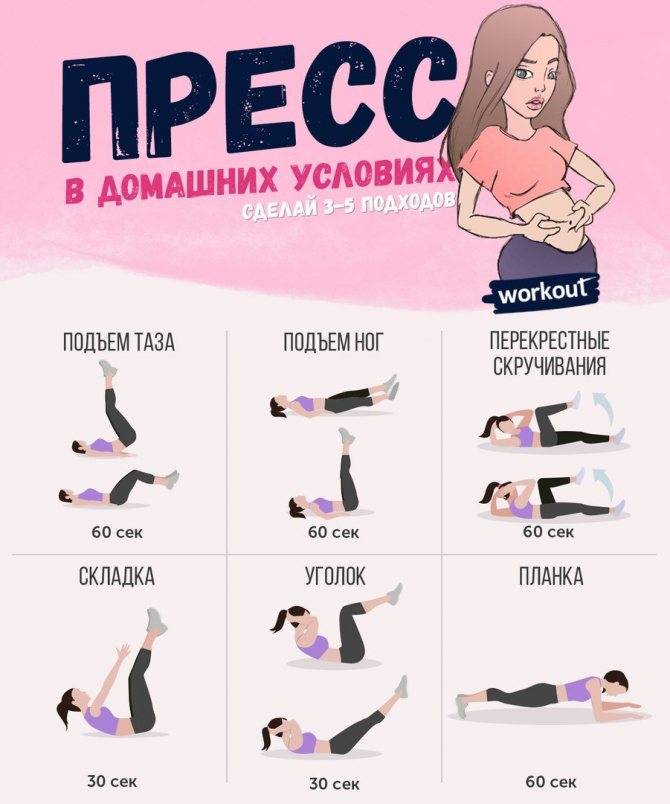 Комплекс упражнений на пресс для девушек в домашних условиях: анатомия мышц, правила, программа тренировок