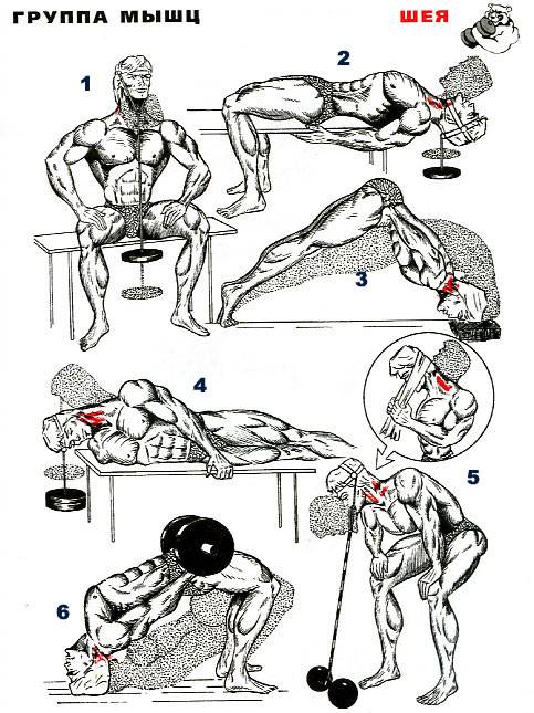Как правильно качать мышцы: качаем попу головой