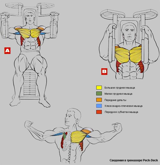 Части груди. Упражнения на низ грудных мышц. Упражнения на нижнюю часть грудных мышц. Упражнения натниз груди. Упражнения для низа грудных мышц для мужчин.