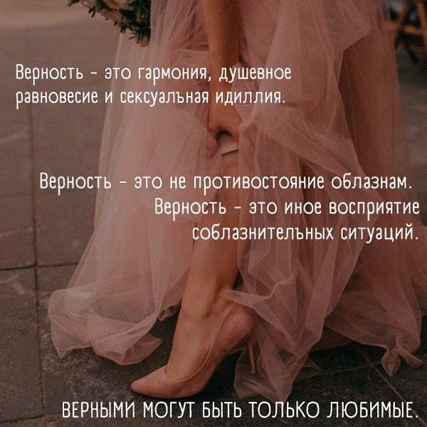 5 лучших сочинений про преданность для огэ