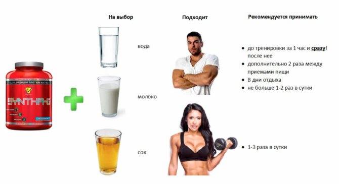 Сколько раз в день можно пить протеин