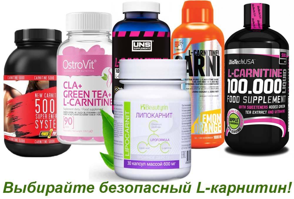 Л-карнитин (l-carnitine): что это такое, дозировки и как правильно принимать