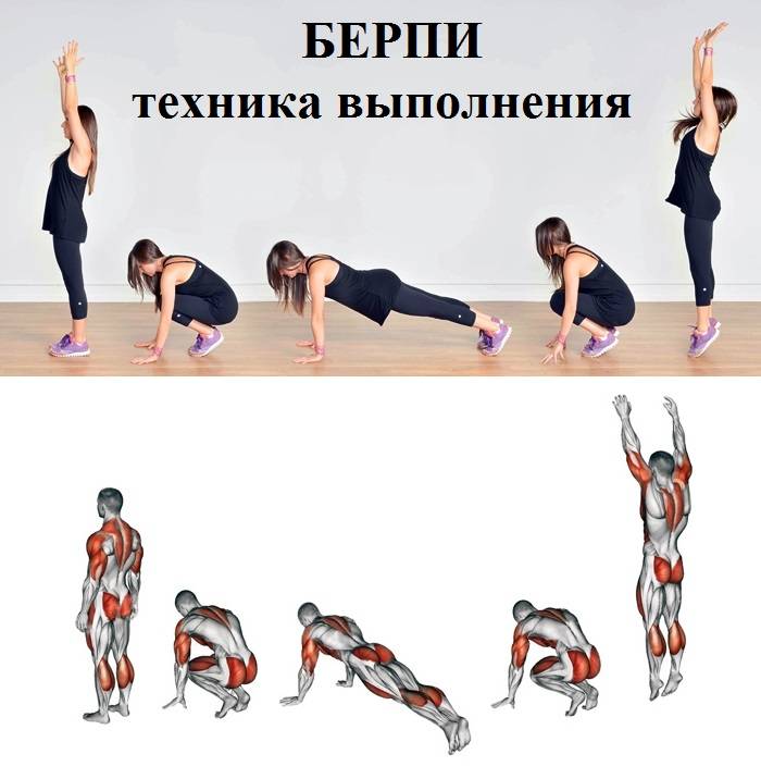 Берпи: техника выполнения самое эффективного упражнения для похудения