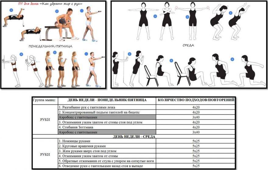 Комплекс упражнений с гантелями для похудения рук, живота, ног: правила выполнения