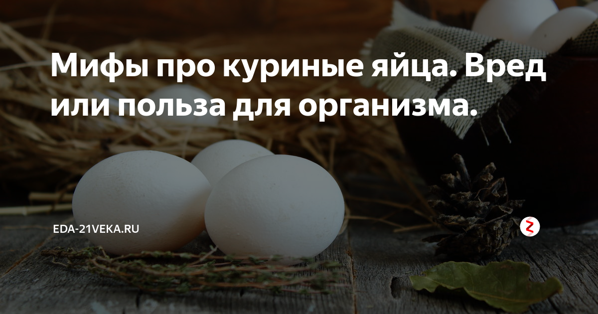 Куриные яйца: польза и вред, применение в лечебных целях.