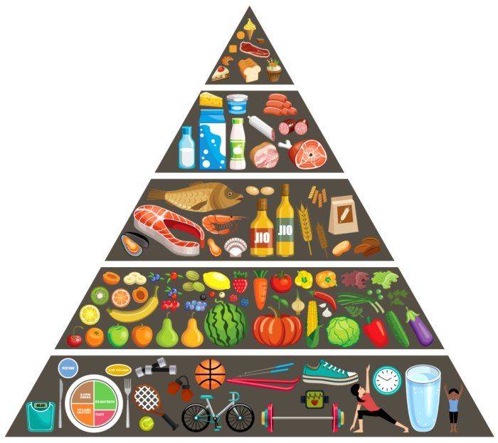 Из чего состоит пирамида здорового питания | клиника эксперт