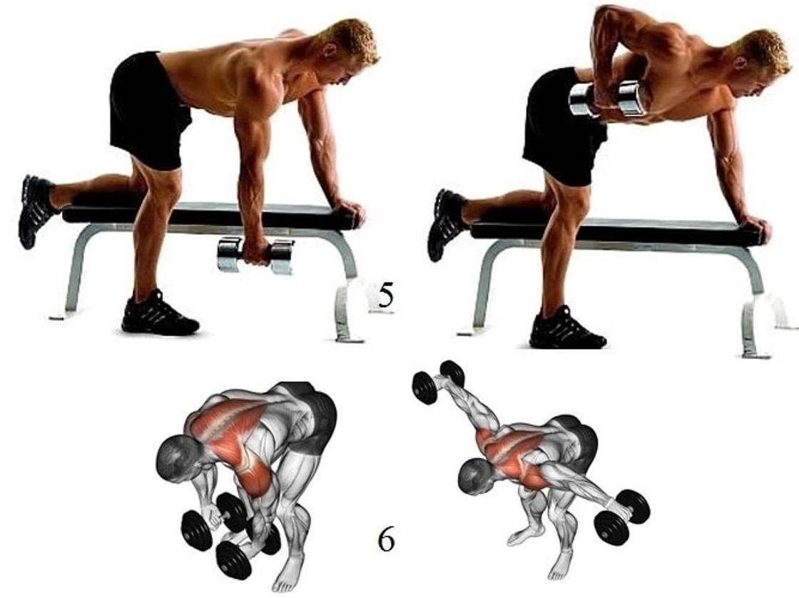 Лучшие упражнения на мышцы спины в тренажерном зале