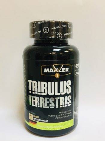 Tribulus terrestris от maxler: как принимать, эффект от приема
