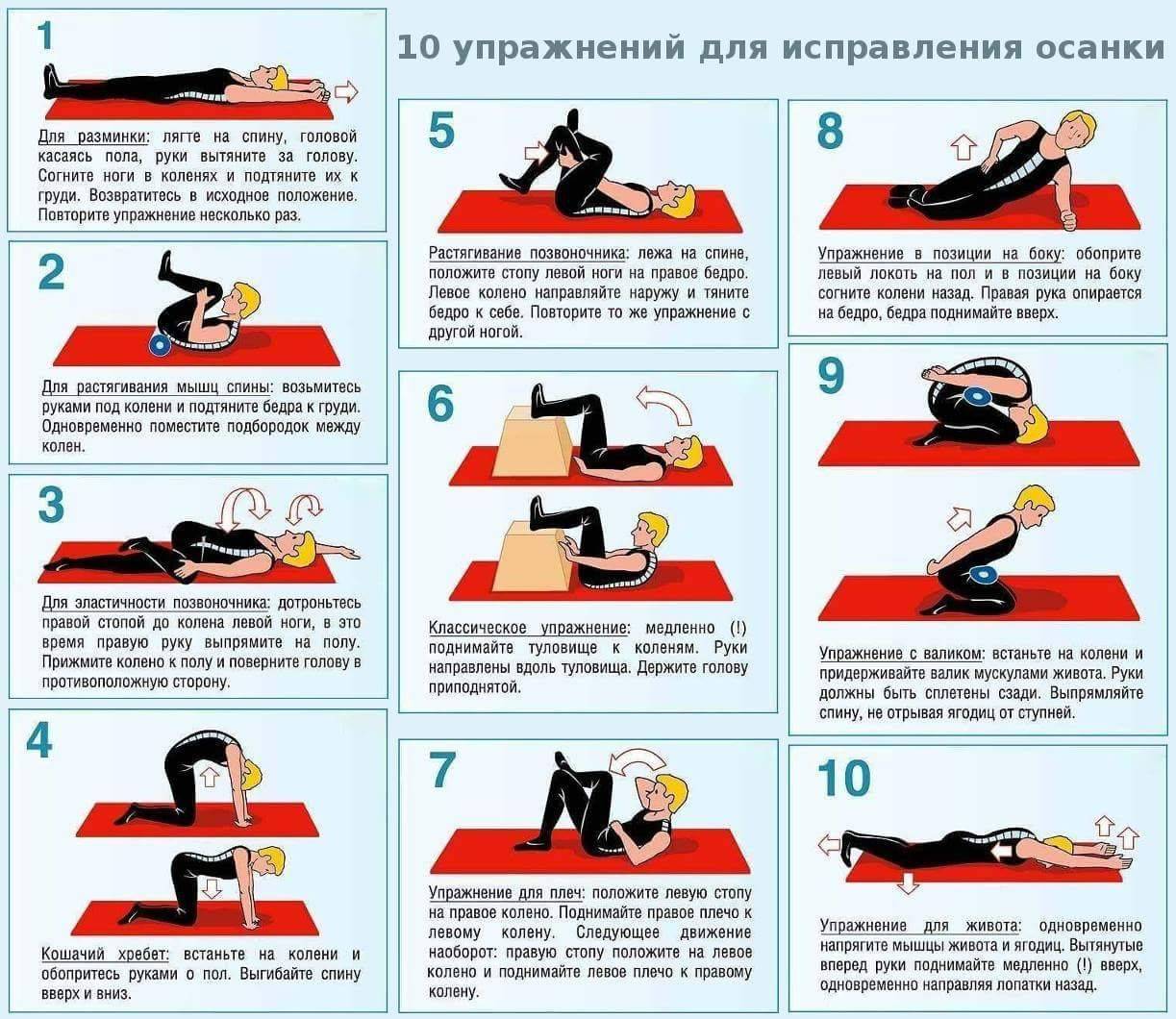 Как сделать красивую спину и королевскую осанку: 5 лучших упражнений - 7дней.ру